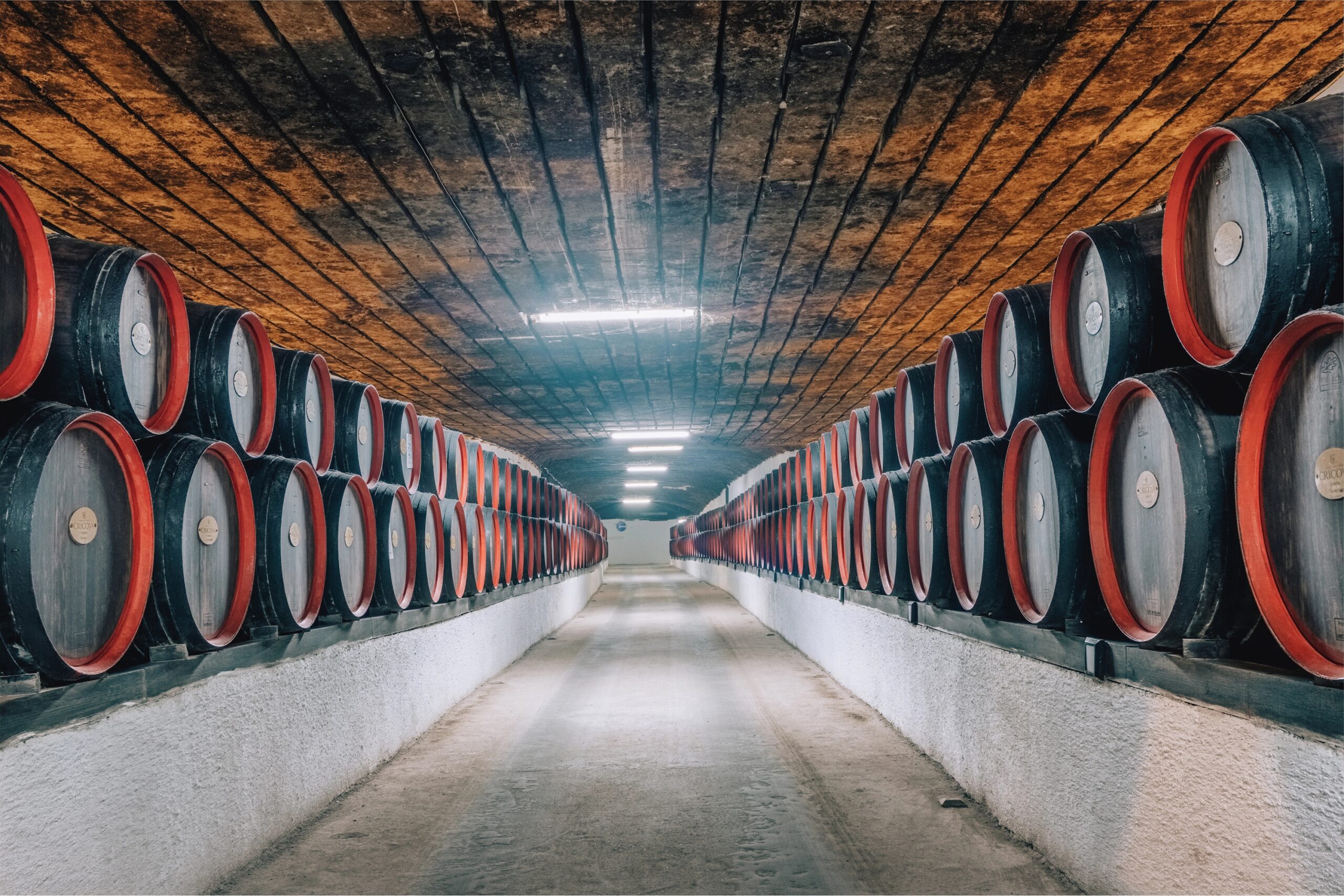 cricova wine
