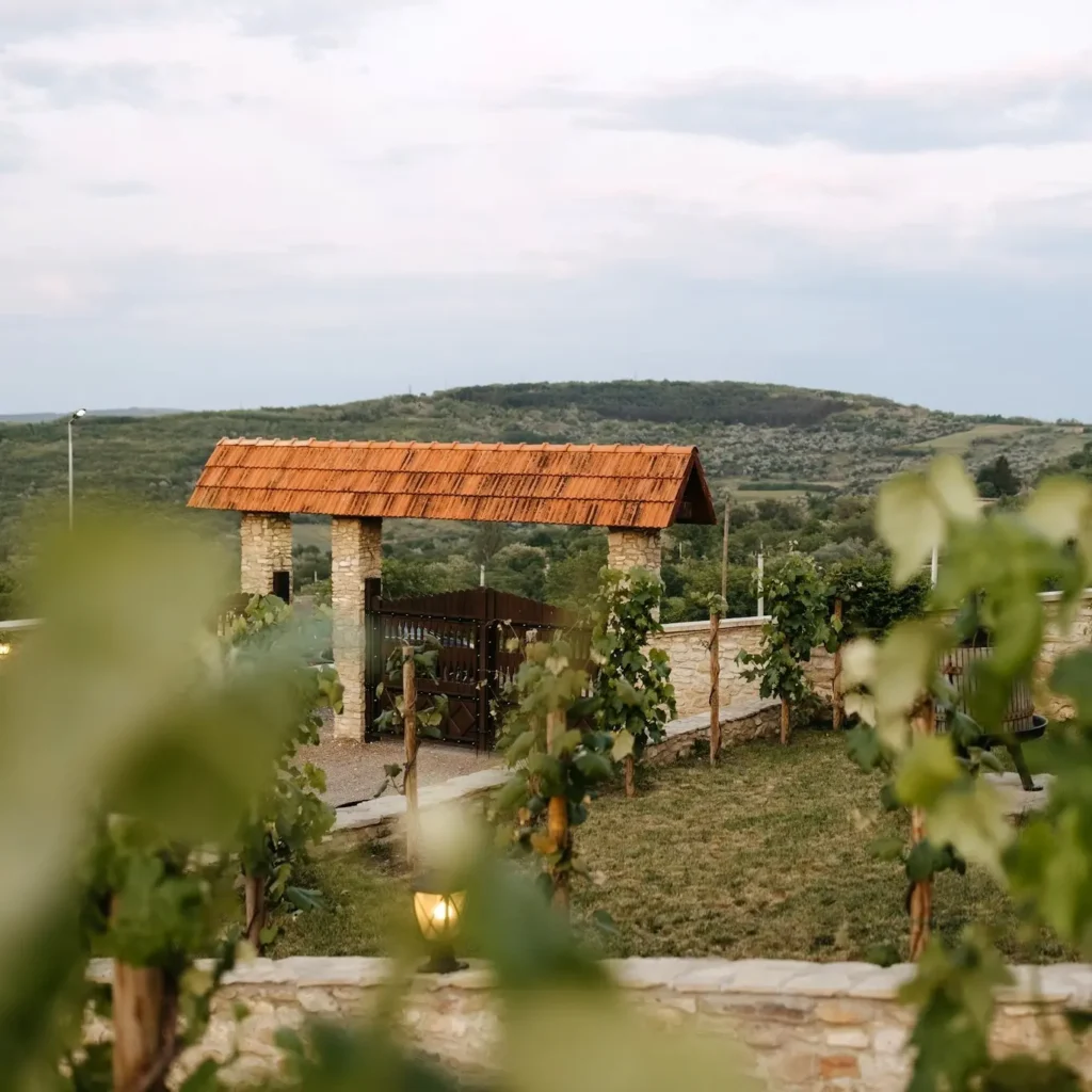 Crama Mircești moldova