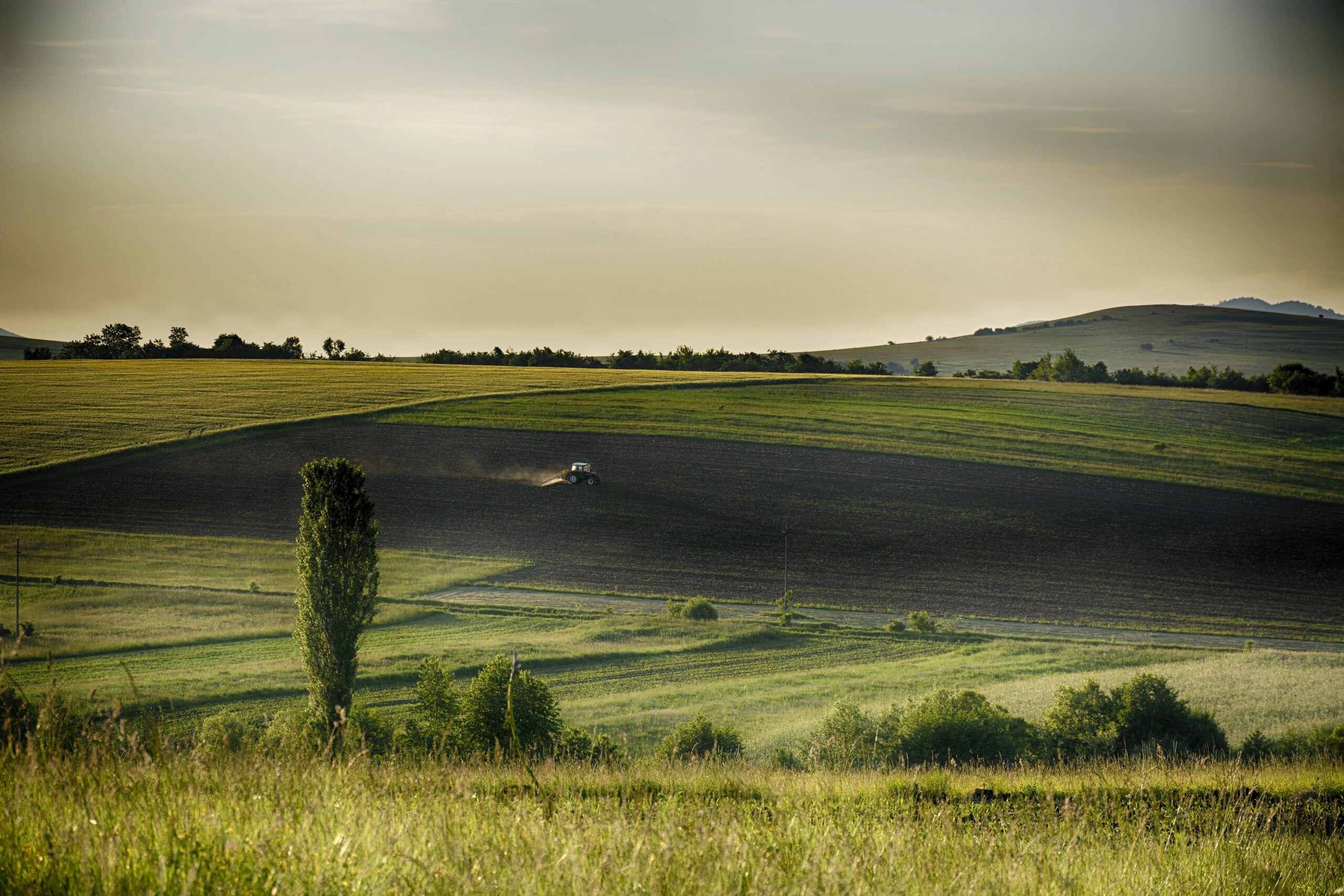 moldova nature