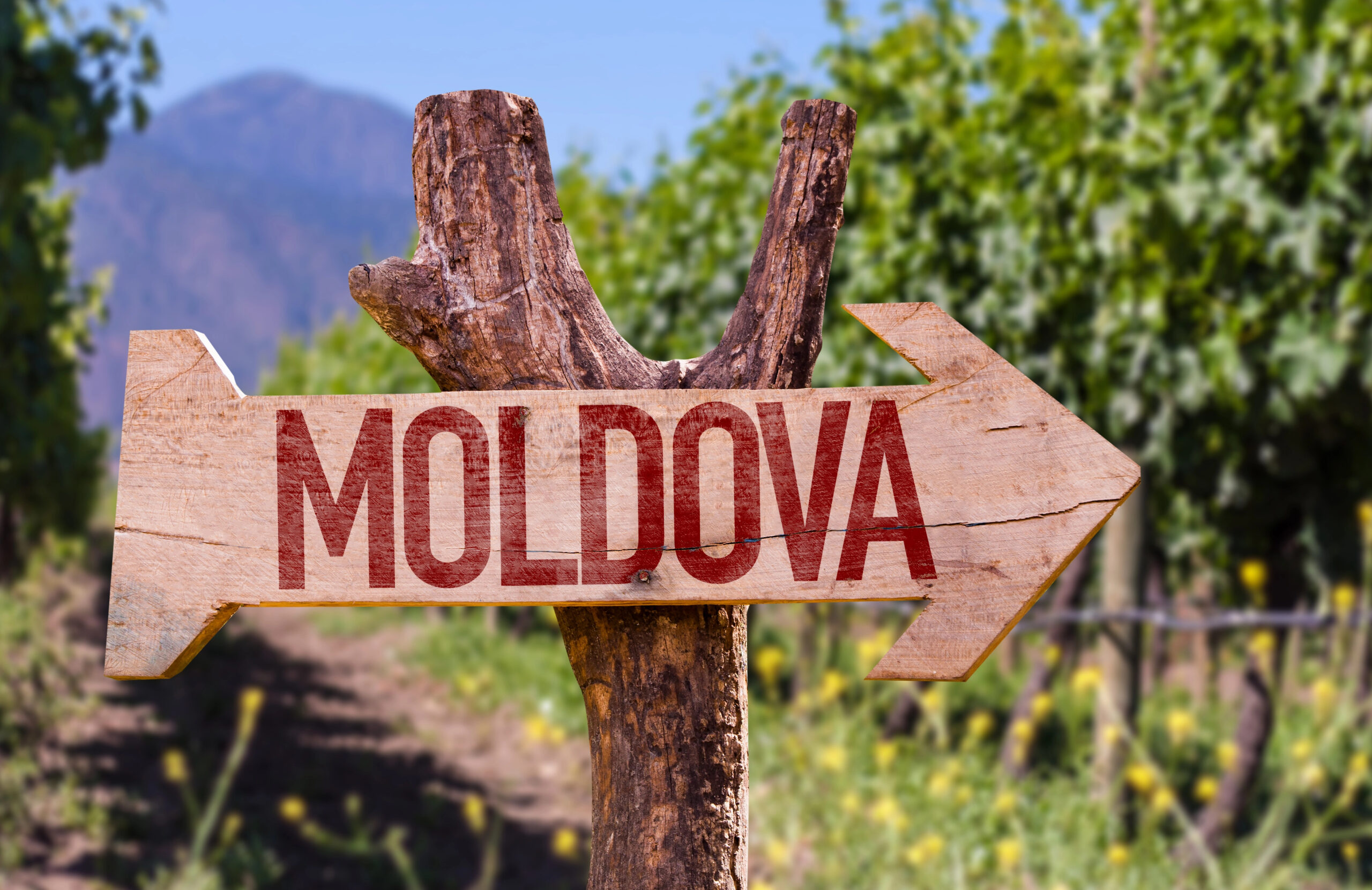 reizen naar Moldavië