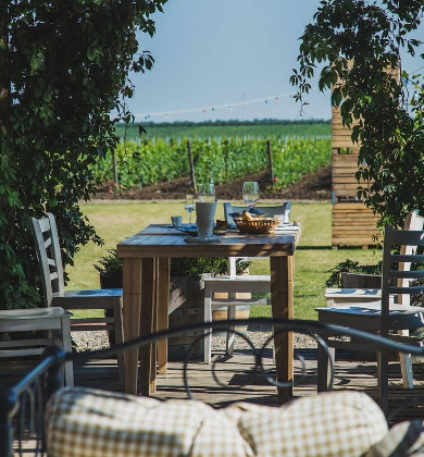 Et Cetera Winery moldova